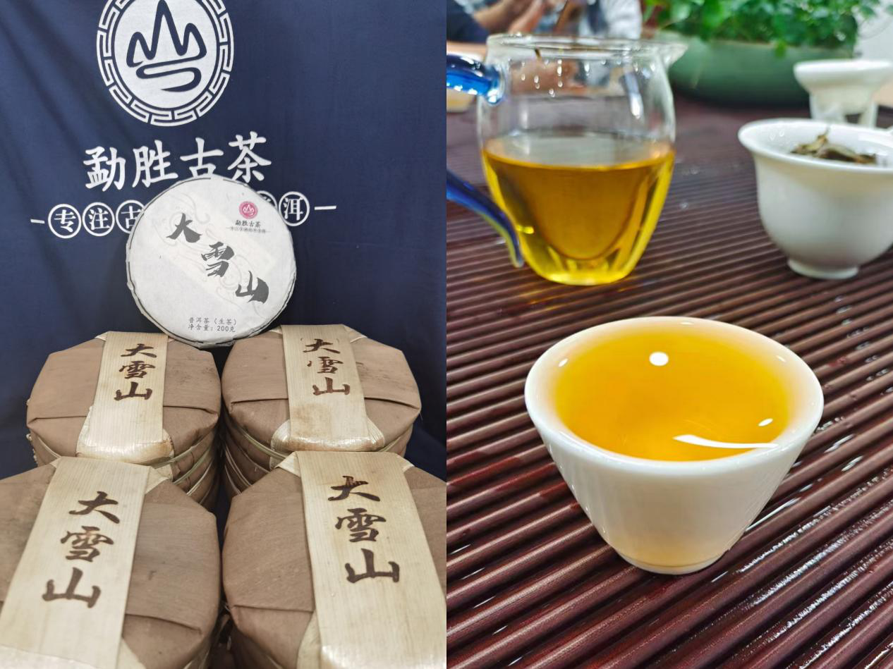 2023第19屆上海國際茶葉交易會(huì)【中國茶博會(huì)】