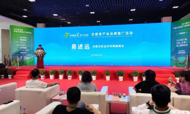 廬州好茗，天下共飲！2023太原茶博會(huì)合肥專場(chǎng)推介會(huì)成功舉行